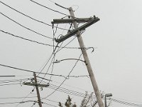 Electric Pole电线杆