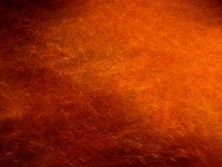 Light from New York 纽约夜色