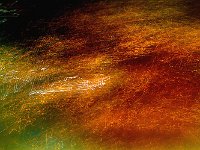 Light from New York 纽约夜色3