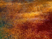 Light from New York 纽约夜色4