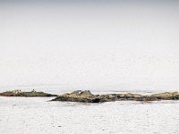 Beagle Channel 比格尔海峡40