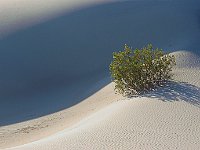 Death Valley 死亡谷国家公园1  Desert 沙漠4