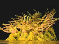 中国残疾人歌舞团17