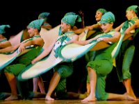 中国残疾人歌舞团55