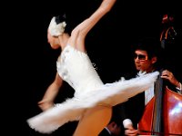 中国残疾人歌舞团69