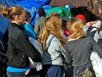 2011 OccupyBoston 占领波士顿3