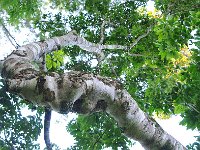 DSC 2667s  Iguazu 伊瓜苏38