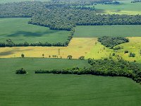 DSC 3219s  Iguazu 伊瓜苏21