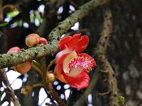 Botanical Garden 植物园14