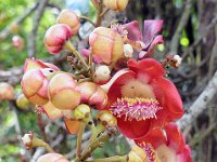 Botanical Garden 植物园15