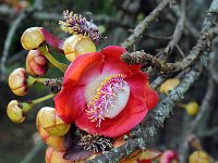 Botanical Garden 植物园18