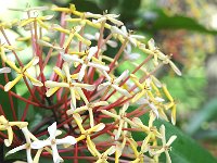 Botanical Garden 植物园19