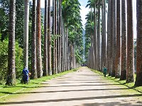 Botanical Garden 植物园20