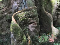 Botanical Garden 植物园22