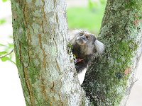 Botanical Garden 植物园25