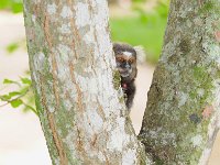 Botanical Garden 植物园26