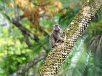 Botanical Garden 植物园27