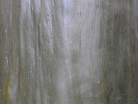 Botanical Garden 植物园30