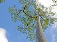 Botanical Garden 植物园31