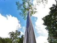 Botanical Garden 植物园38