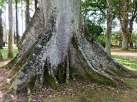 Botanical Garden 植物园4