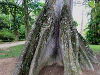 Botanical Garden 植物园5