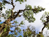 Botanical Garden 植物园8