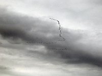 IpanemaBeach 海边27