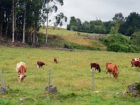 Puerto Varas 巴拉斯港21