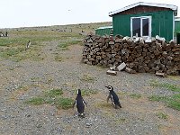 Punta Arenas 蓬塔阿雷纳斯19