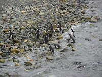 Punta Arenas 蓬塔阿雷纳斯20