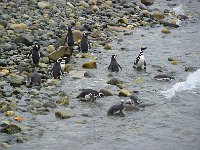 Punta Arenas 蓬塔阿雷纳斯21