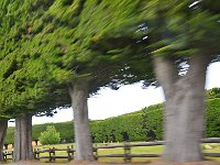 Punta Arenas 蓬塔阿雷纳斯23