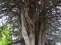 Punta Arenas 蓬塔阿雷纳斯25