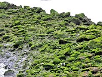 Punta Arenas 蓬塔阿雷纳斯33