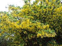 Punta Arenas 蓬塔阿雷纳斯37