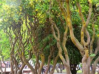 Punta Arenas 蓬塔阿雷纳斯38