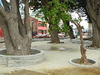 Punta Arenas 蓬塔阿雷纳斯48