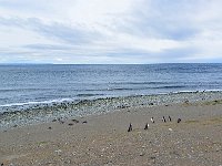 Punta Arenas 蓬塔阿雷纳斯5