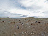 Punta Arenas 蓬塔阿雷纳斯6