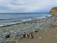 Punta Arenas 蓬塔阿雷纳斯7