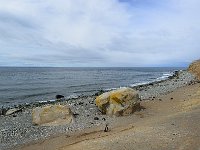 Punta Arenas 蓬塔阿雷纳斯8