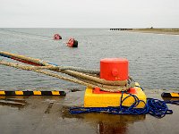 Punta Arenas 蓬塔阿雷纳斯85