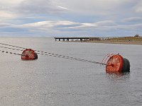Punta Arenas 蓬塔阿雷纳斯89