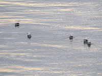 Punta Arenas 蓬塔阿雷纳斯98