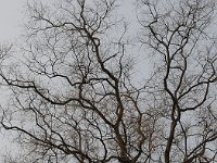 Longmen 龙门石窟2