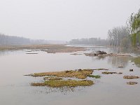 Longmen 龙门石窟41