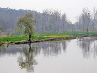 Longmen 龙门石窟43