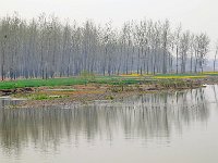 Longmen 龙门石窟44