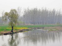 Longmen 龙门石窟45